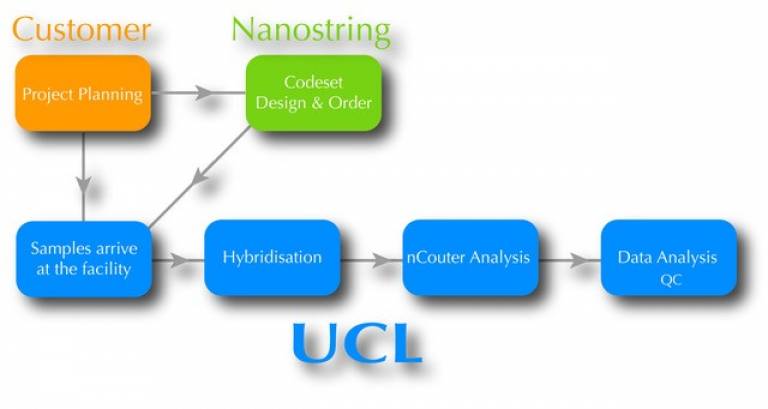Nanostring Flow Chart