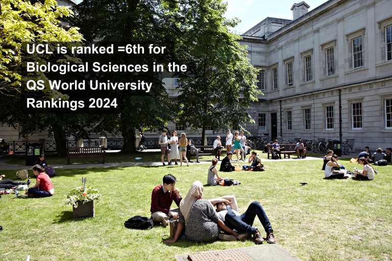 Students sitting on grass on UCL Bloomsbury campus