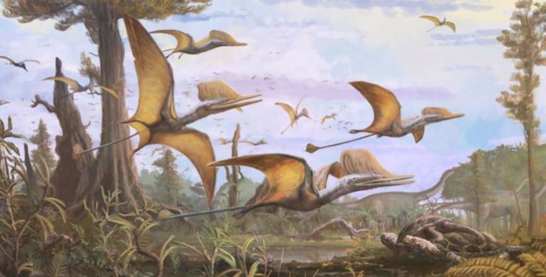Newly-discovered pterosaur species, named after Prof. Susan Evans, found on the Isle of Skye (artists’ impression, below, © The Trustees of the Natural History Museum (NHM), London/Mark Witton)
