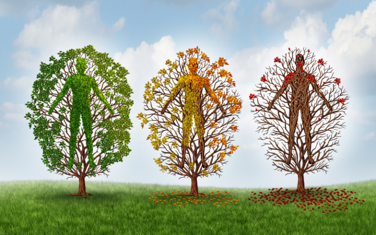 3 colourful trees displaying healthy living attributes