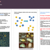 cell separation poster