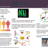 A poster showing the sicence of obesity