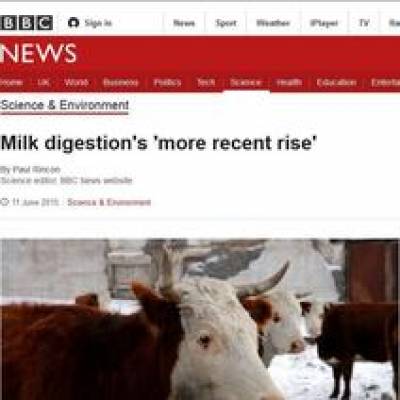 BBC News milk