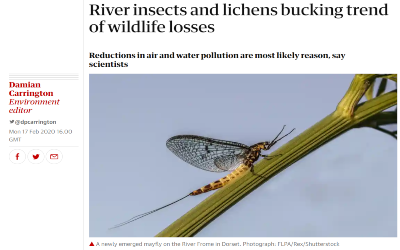 guardian_river_insects-lichens_trend_of_wildlife_losses