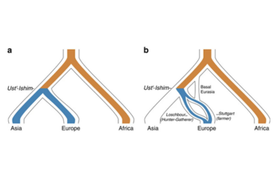 human_adaptation_and_population_differentiation_in_the_light_of_ancient_genomes