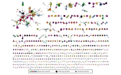 large_scale_network_analysis_plasmids