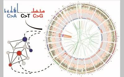 cancer genome
