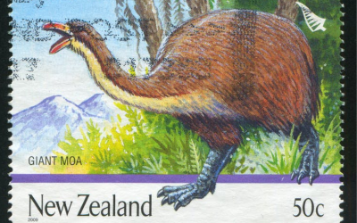 Giant Moa New Zealand