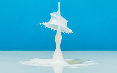 white Milk splashing down on a blue background