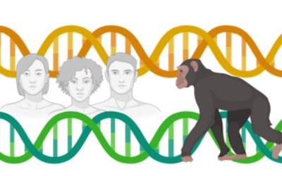 chimp and DNA strands