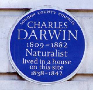darwin blue plaque on biosciences building UCL Gower Street london