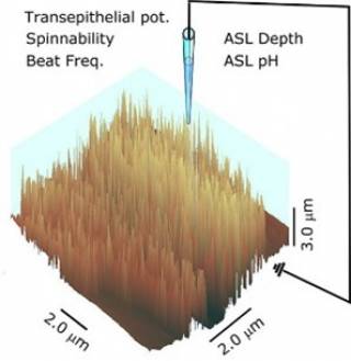 A Nanosensor Toolbox for Rapid, Label-Free Measurement of Airway Surface Liquid and Epithelial Cell Function 2