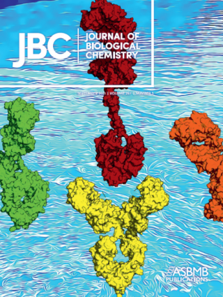 JBC front cover