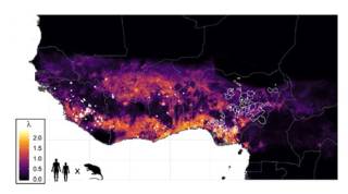 Lassa fever risk map