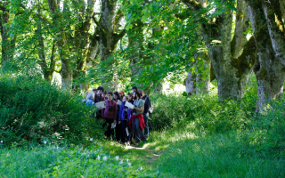 group of students in a green outside area 