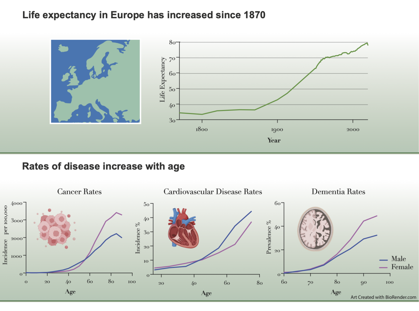 slide2 disease with age