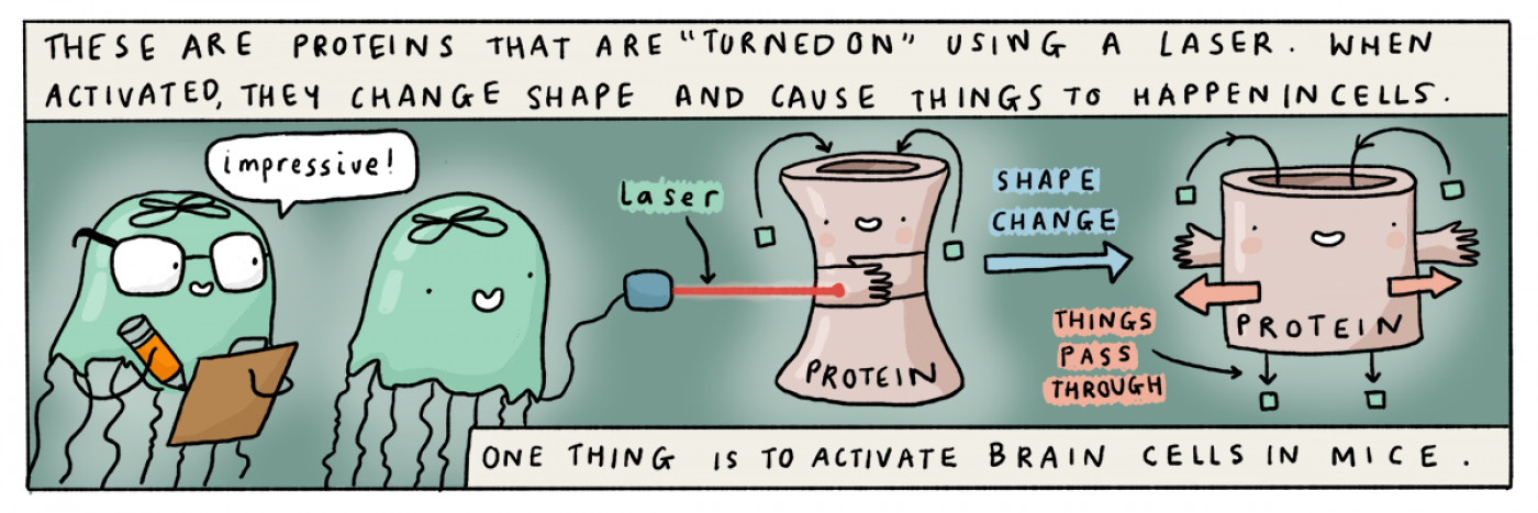 light-activated proteins comic strip 2