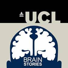 ucl brain stories logo