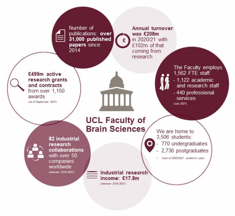 Faculty of Brain Sciences in numbers