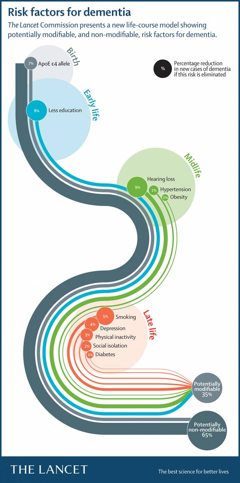 Lancet Commission infographic: risk factors for dementia