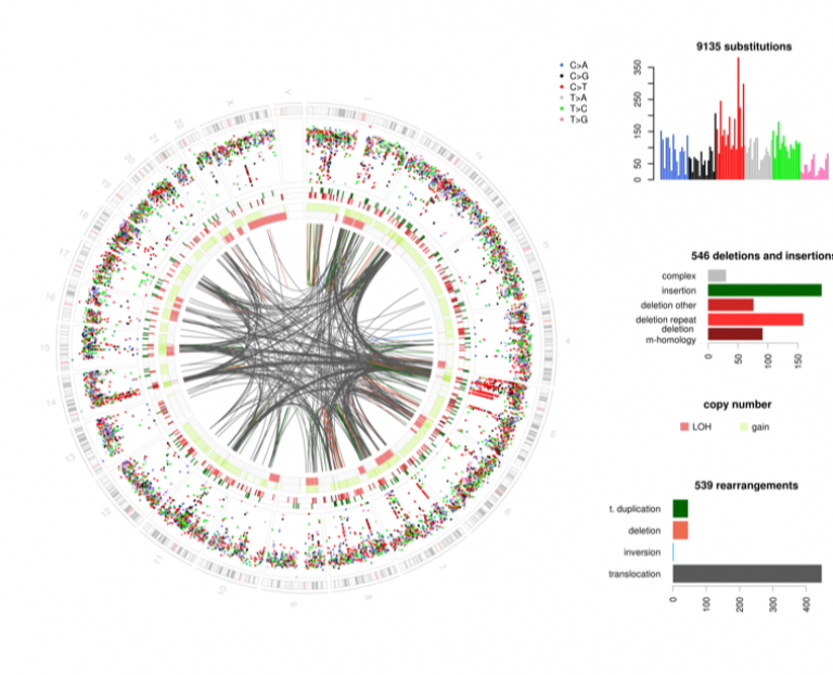 Circos plot showing the complex genome architecture of undifferentiated pleomorphic sarcoma