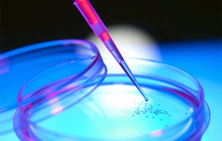 Image of Petris dish and stem cells 