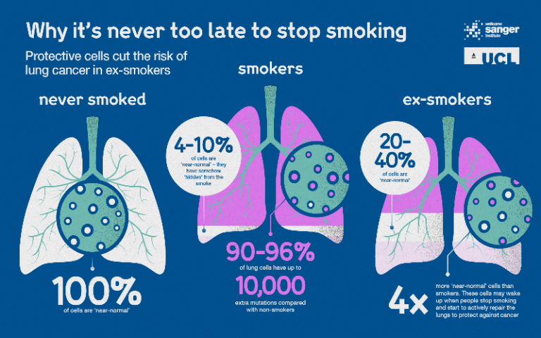Why it's never too late to stop smoking infographic