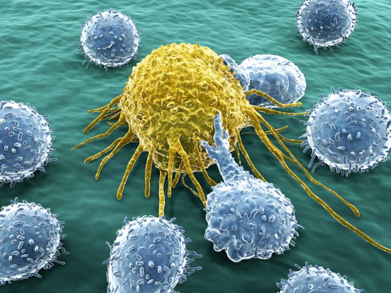 illustration of lymphocytes attacking cancer cell