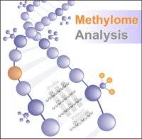 Methylome Analysis logo…