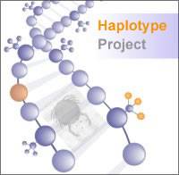Haplotype logo…