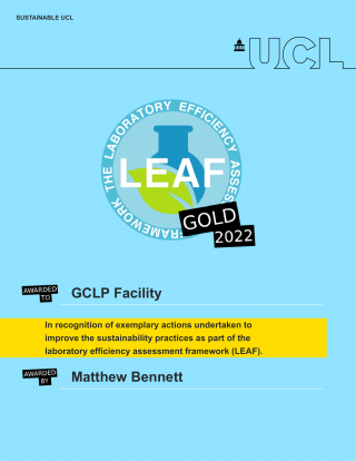 Gold LEAF certificate