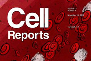 Cell reports cover…