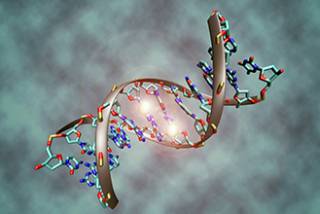 DNA methylation…