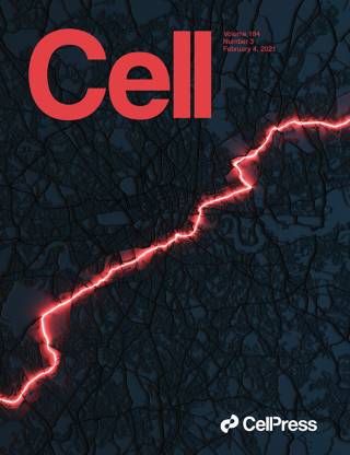 Cell Press Cover Feb 2021