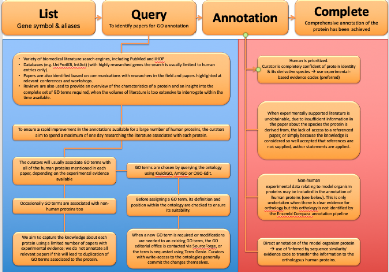 Flowchart showing annotation pipeline