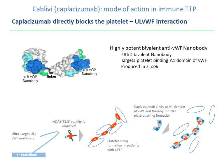 Immune TTP