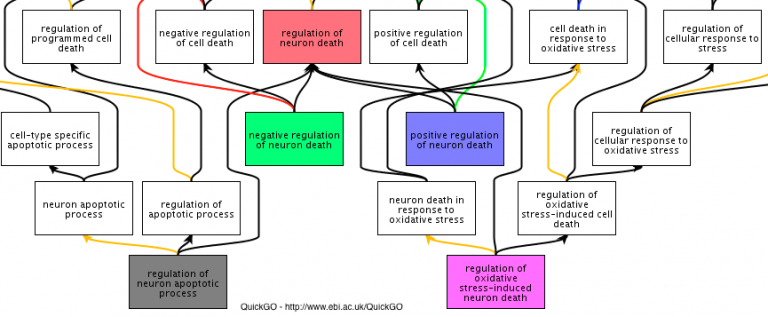 Selection of Gene Ontology terms relevant to neuron death