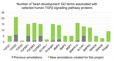 Heart Development Impact