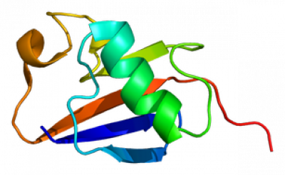 PARK2 protein structure