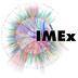 IMEX-Logo