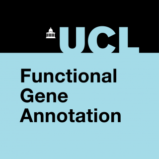 Functional Gene Annotation