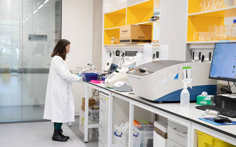 A University College London researhcer working in a laboratory in the Pears Building, on campus.