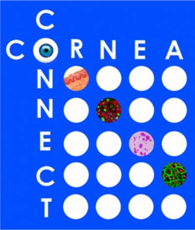 Cornea Connect Logo…