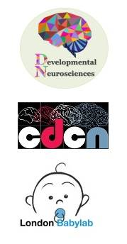 logos of DN programme, CDCN and Babylab