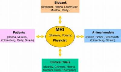 MRI Team Diagram