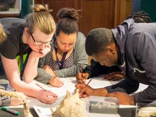 students working around the collections in a museum