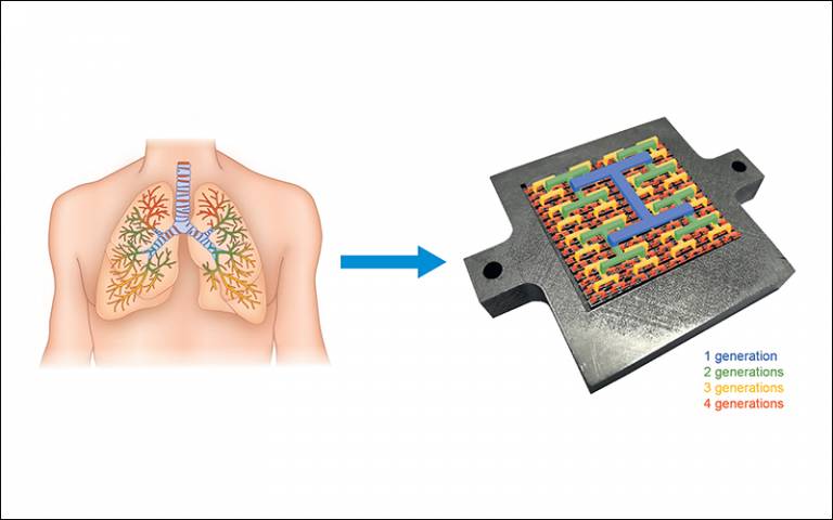 Image of a lung-inspired approach to scalable and robust fuel cell design