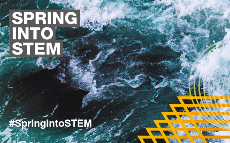 Spring into Stem Water Resources image