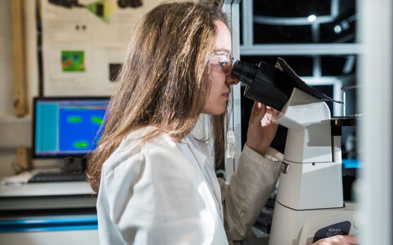 Image of PhD student researcher using microscope in lab
