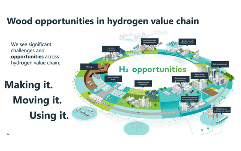 Wood opportunities in hydrogen value chain